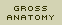 Gross Anatomy