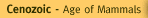 Cenozoic Era - Age of Mammals