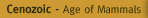 Cenozoic Era - Age of Mammals