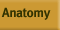 Anatomy