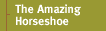 Amazing Horseshoe