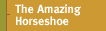 Amazing Horseshoe