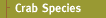 Crab Species