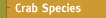 Crab Species